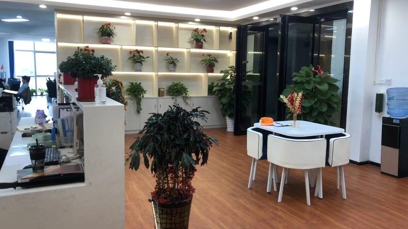 投融资方案与商业计划书的差异解析**