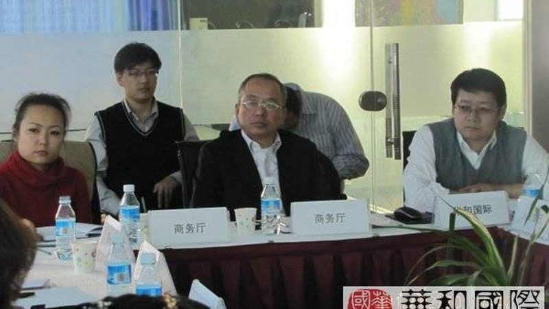 并购咨询服务合同范本：关键要素与注意事项